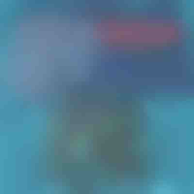 Calções de Banho com Secagem Rápida | TOGGIES