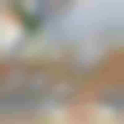 Fatiador de legumes multifuncional | SLICEIEST (4 Lâminas GRÁTIS)