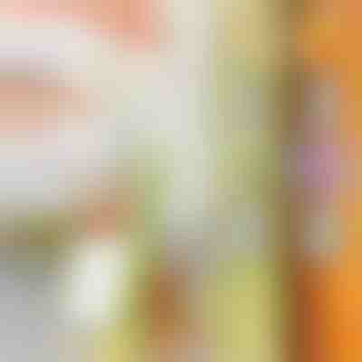 Cortador multiusos | SLICEWISE