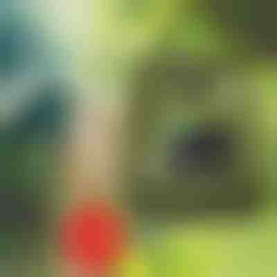 Chuveiro portátil | SHOWDY