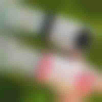 Pistola de bolhas LED com 69 saídas | BUBBLEPUFF