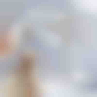 Escova de vapor recarregável para animais de estimação para redução de pelo | GROOMSY