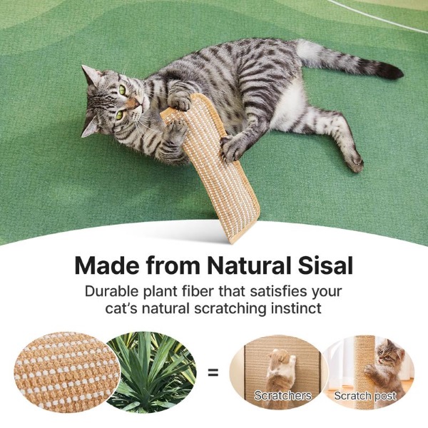 CATCHEW-3831127629256-EN-6__221225